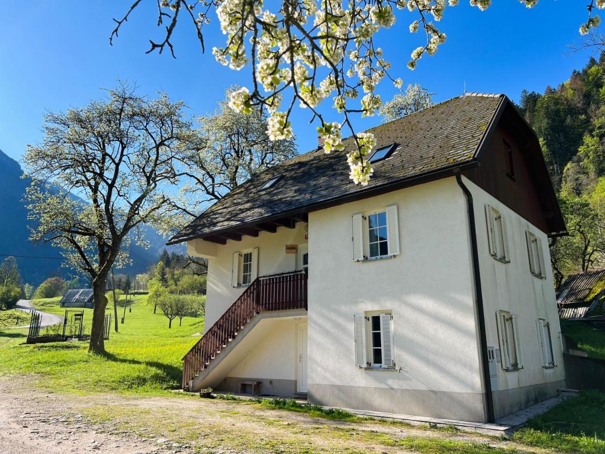 Apartments Mala Korita Soce Soča Kültér fotó
