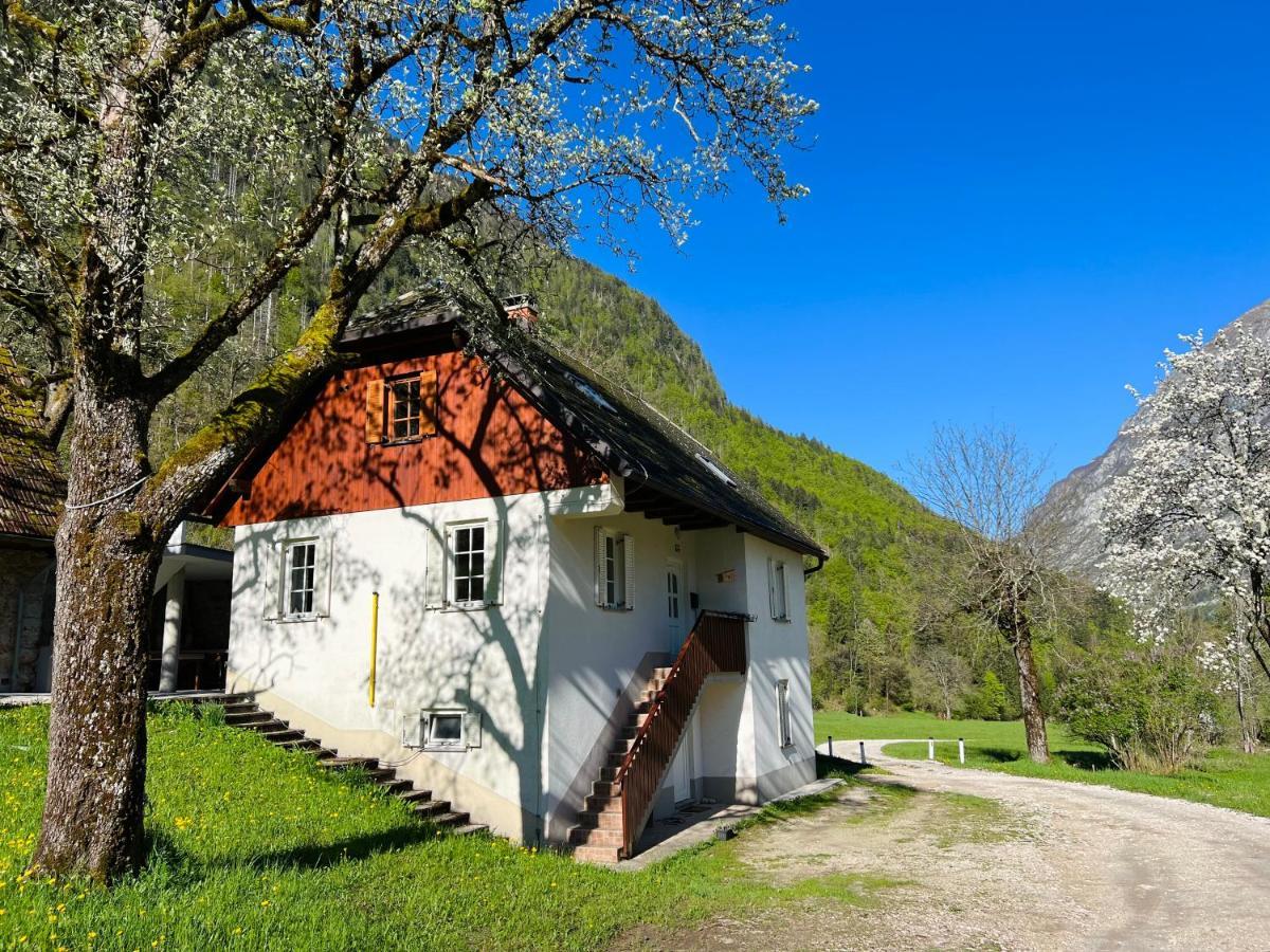 Apartments Mala Korita Soce Soča Kültér fotó