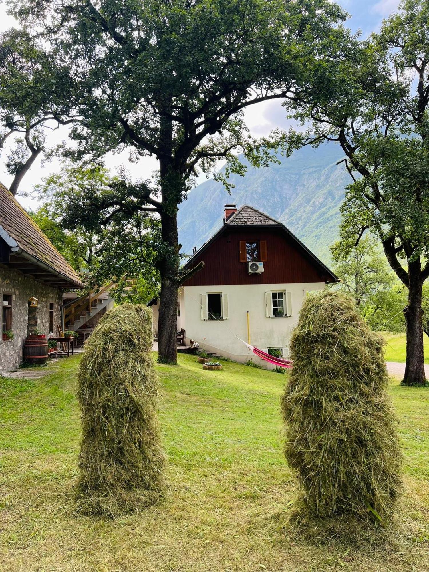 Apartments Mala Korita Soce Soča Kültér fotó
