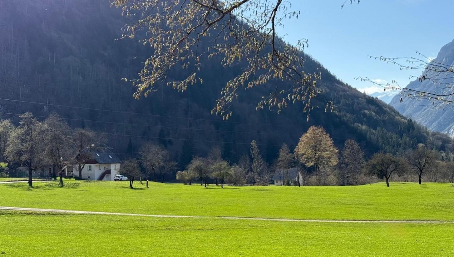 Apartments Mala Korita Soce Soča Kültér fotó