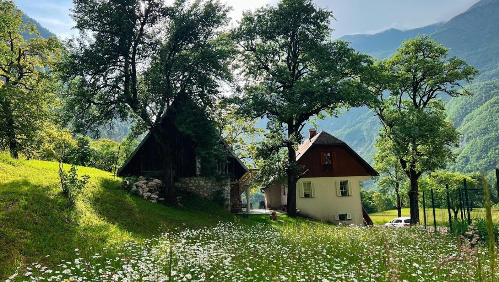 Apartments Mala Korita Soce Soča Kültér fotó